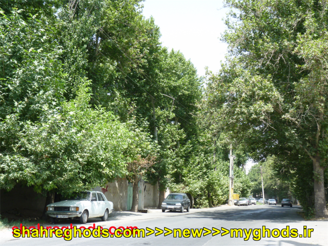عکس های زیبای شهرقدس